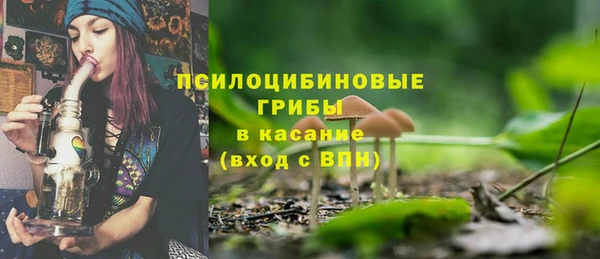 эйфоретик Липки